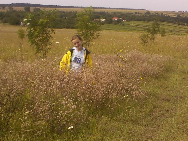 с.Петрашовка - Петрашівка