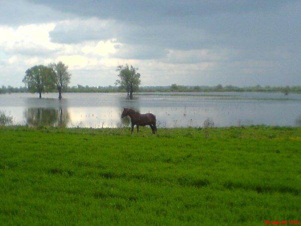 Висоцьк - Висоцьк