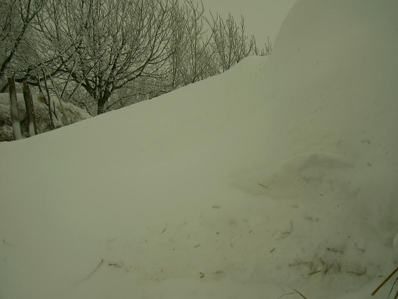 Замети Підбрусеня - Підбрусинь