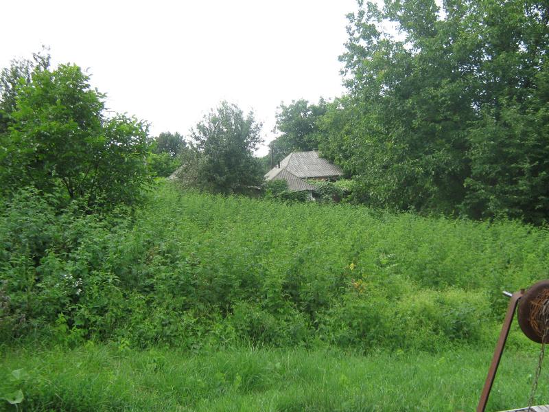 Життя селянське - Budeyi