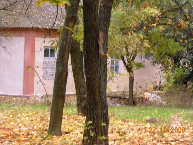 Моє село - Мала Лепетиха