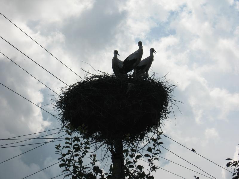 Мальовничі пейзажі Корсова - Корсів