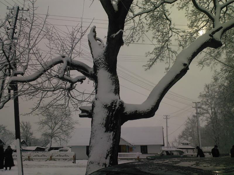 зима - Любеля