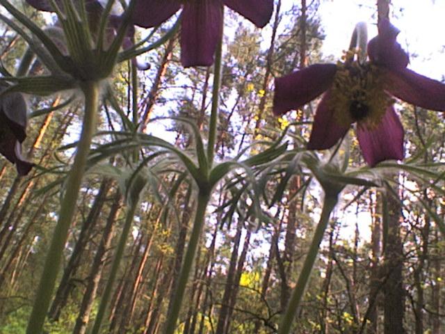 Водосховище - Жовнине
