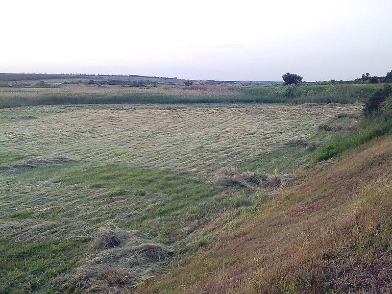 сінокос - Півні