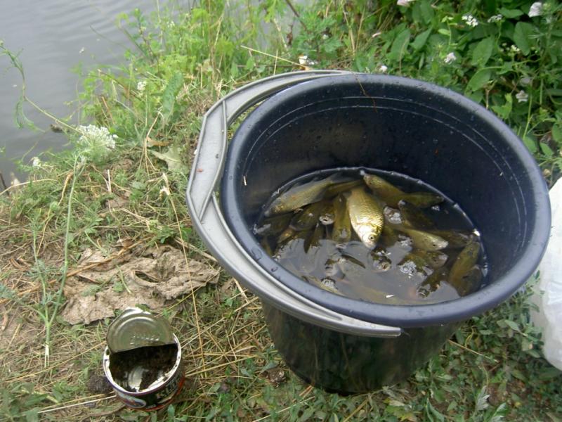 Фото села - Білоусівка