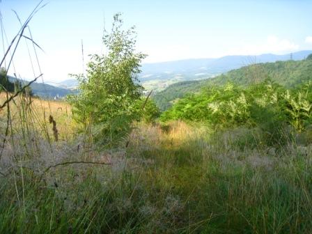 курорт Поляна - Поляна