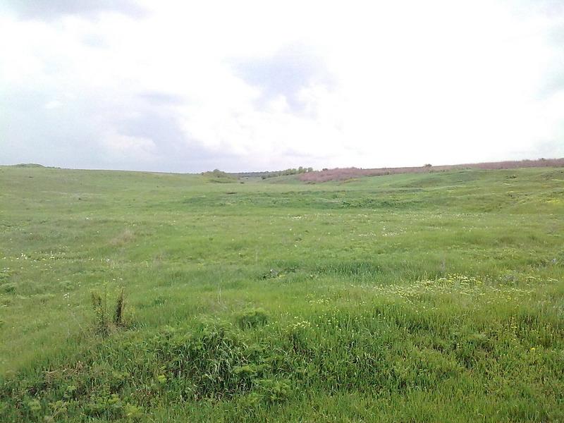 З Єланця до села Півні - Півні