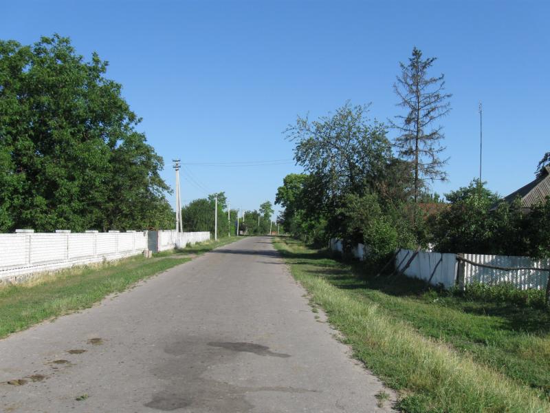 лето - Жорнокльови