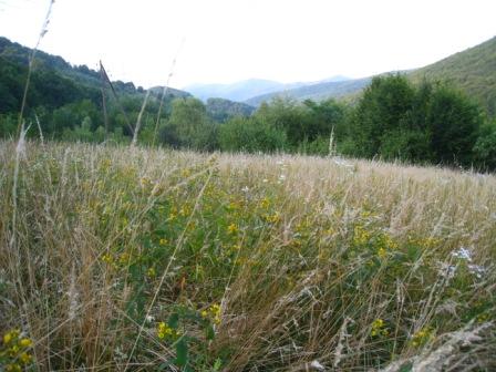 курорт Поляна - Поляна