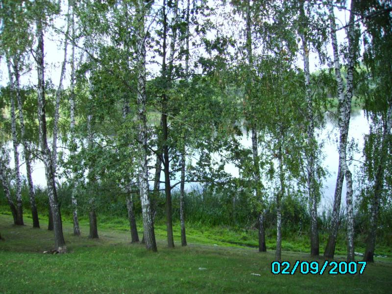 Почапинцы - Почапинці