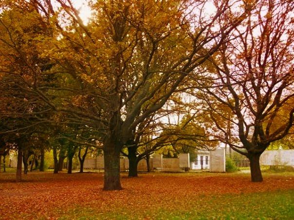 Солоне - Солоне