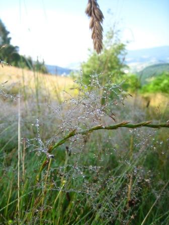 курорт Поляна - Поляна