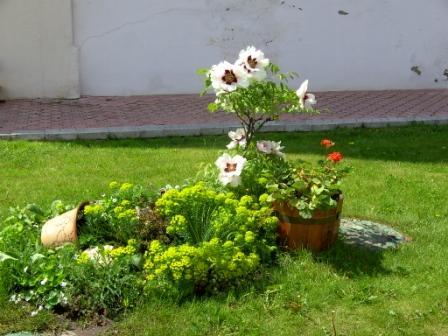 Рідне село - Великий Вистороп