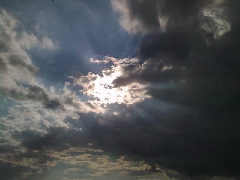 Фотоетюди - Півні