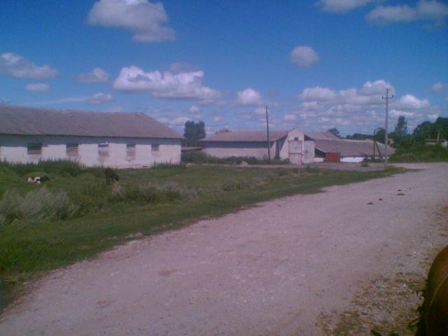 Село - Гальчинцы