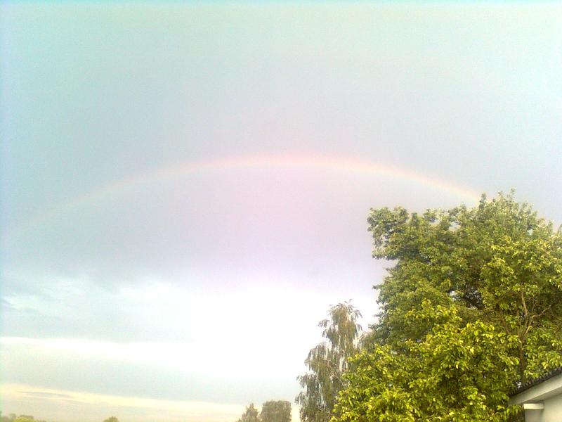 Природа Климентіївки - Климентіївка