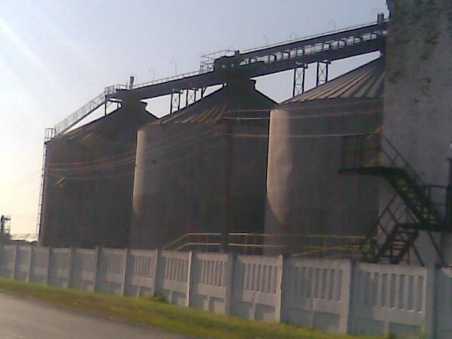 селещина - Селещина