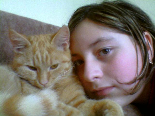 софа - Микитинці