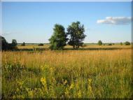 Войниха - Останні фото