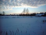 Танське - Останні фото