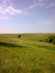 Ярославка - Останні фото