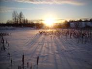 Танське - Останні фото