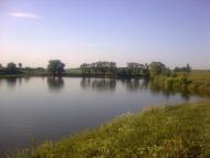 наш ставочек