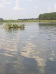 мій рідний ТУРБІВ