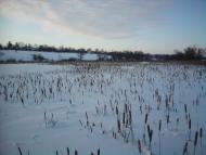 Танське - Останні фото