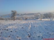 Санківці як вони й