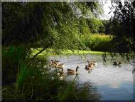 Войниха - Останні фото