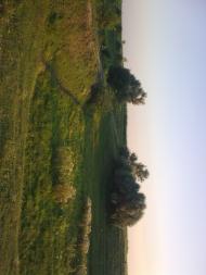 наш ставочек