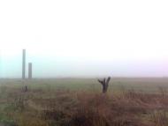 Нововоскресенське, Нововоронцовський Район