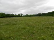 Качківка-подоляночка