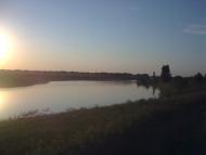 наш ставочек