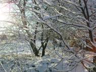 Моя мала Батьківщина с.Таганча