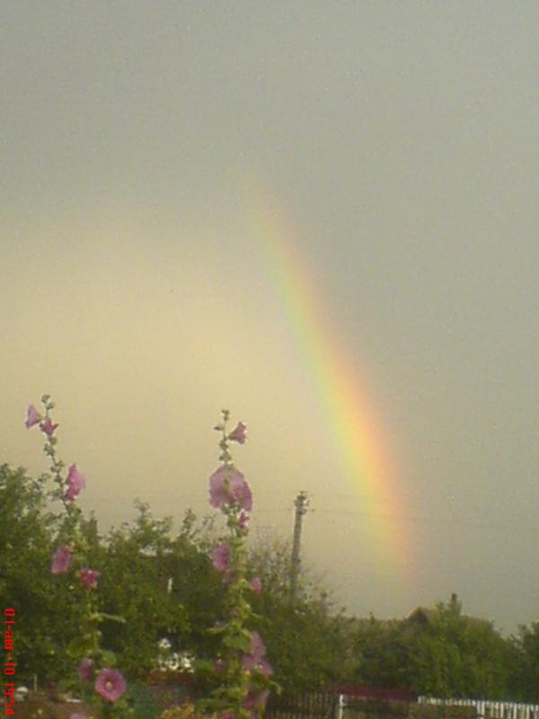 Моє село - Бронне