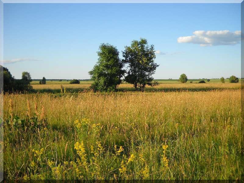 Рідне село - Войниха