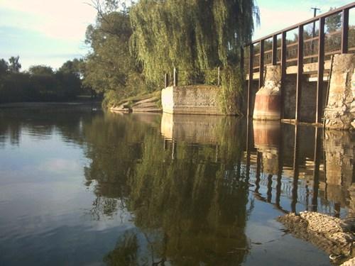 'Весна'-природа села Борушківці - Борушковцы