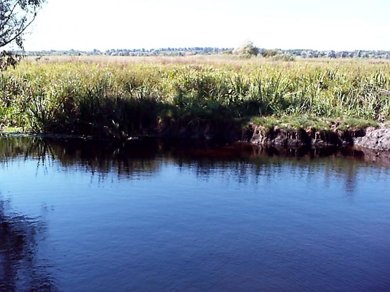 Лікареве - Лекарево