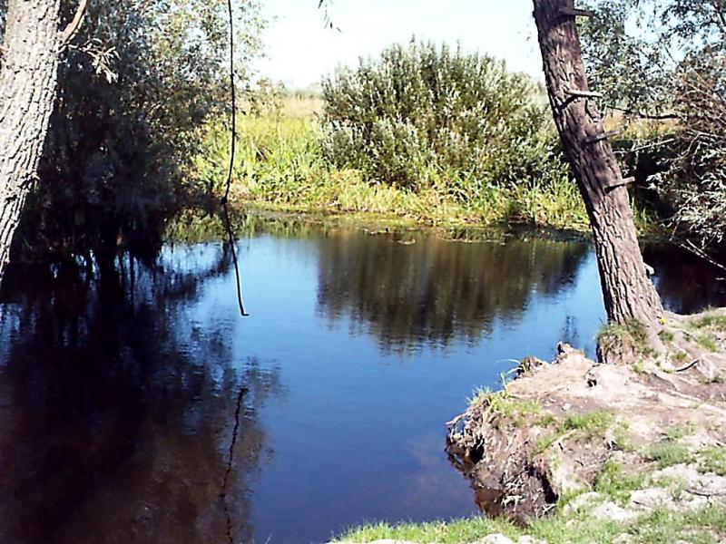 Лікареве - Лекарево