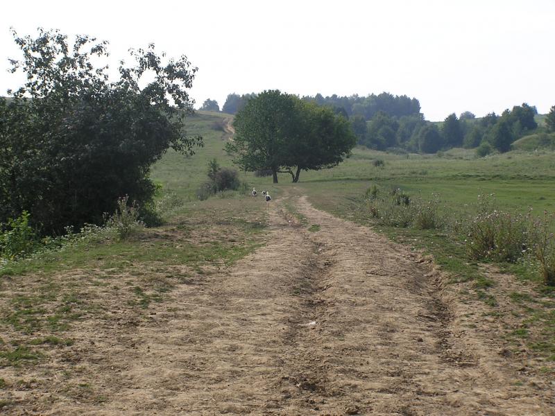 Гоголі - Гоголі