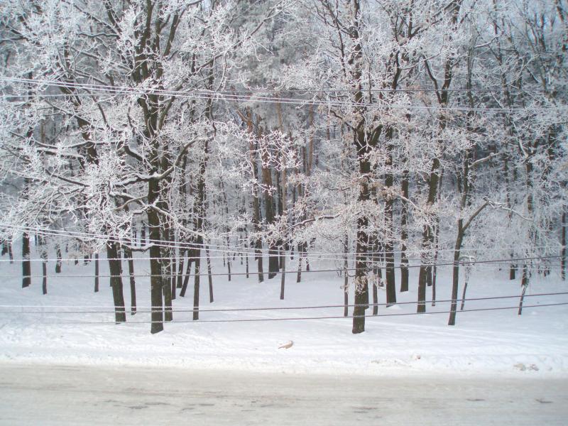 оржів - Оржів