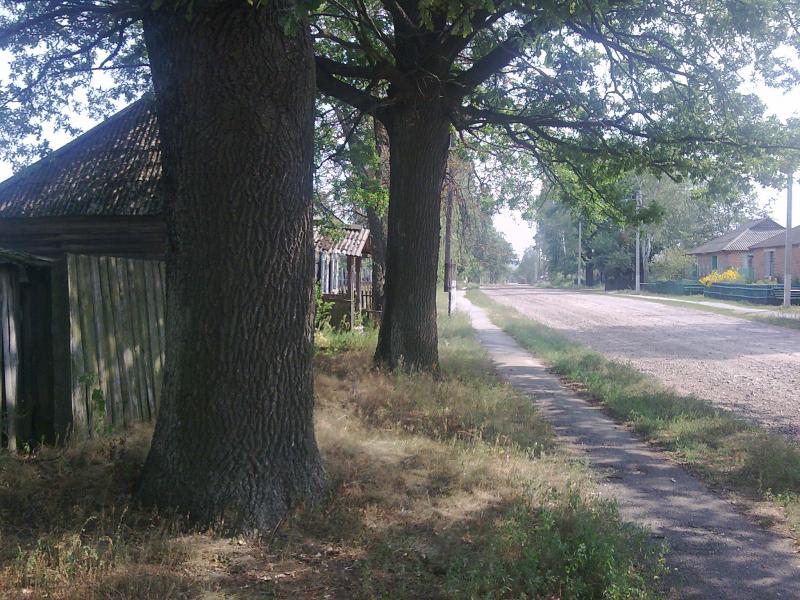 Село - Орликівка