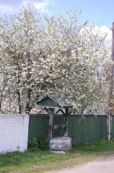 село - Іванівка