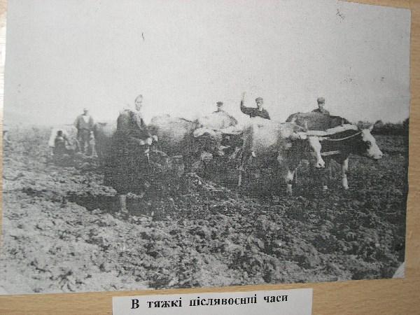селище - Олишевка