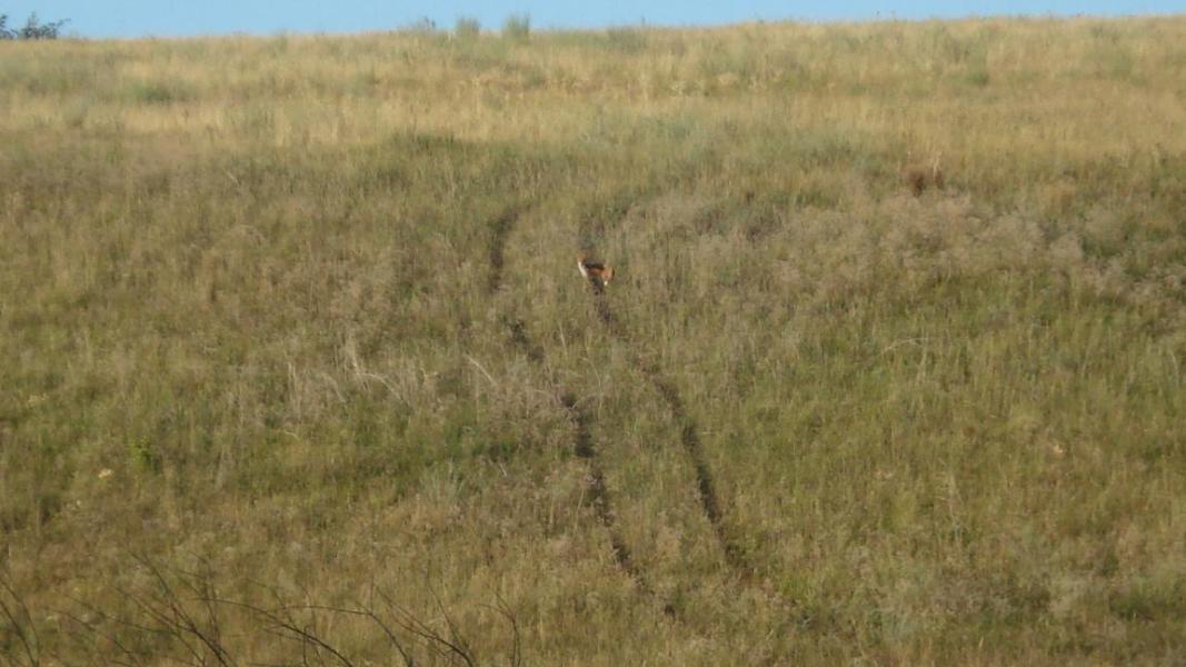 Виды на село - Верхня Дуванка