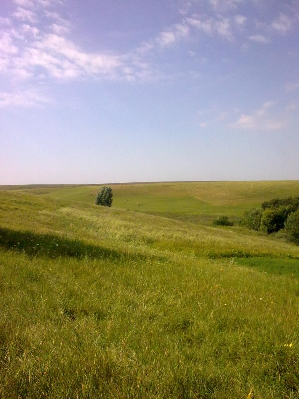 Природа Ярославки - Ярославка