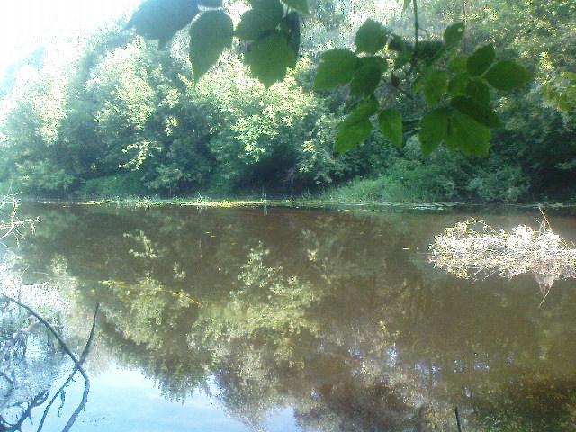  СОЛОНИЦЯ - Солониця